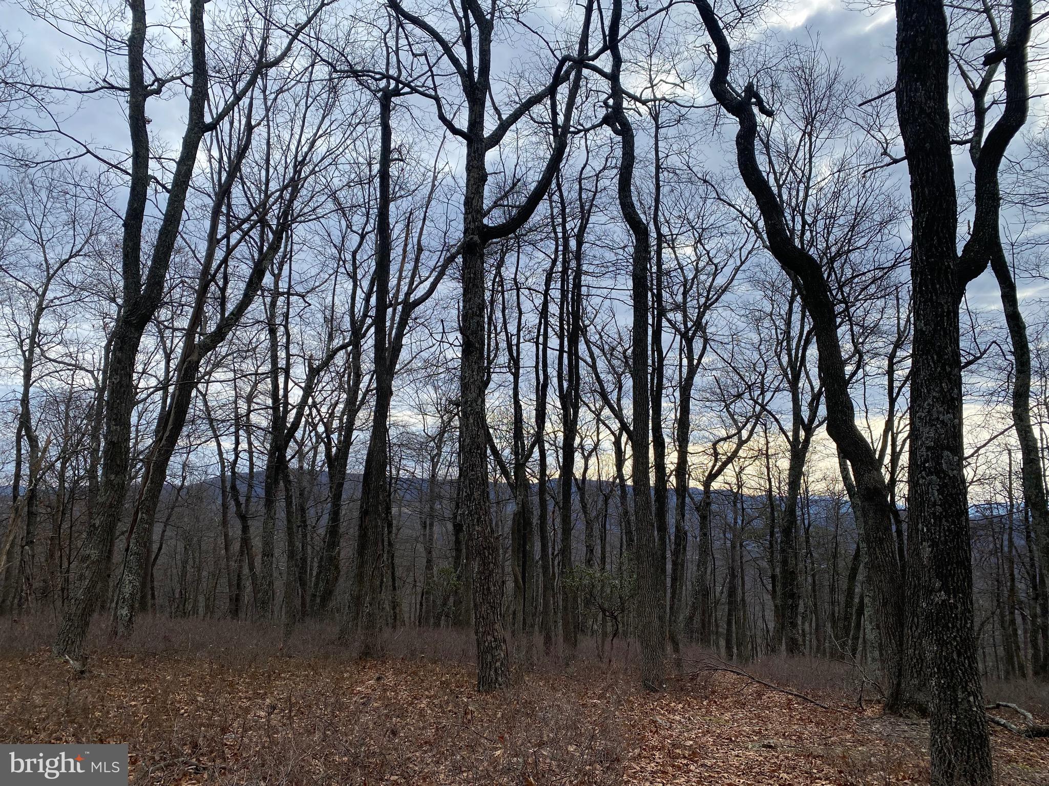 18 Top Of The Mountain Road Moorefield, WV 26836 - Photo 16 of 18