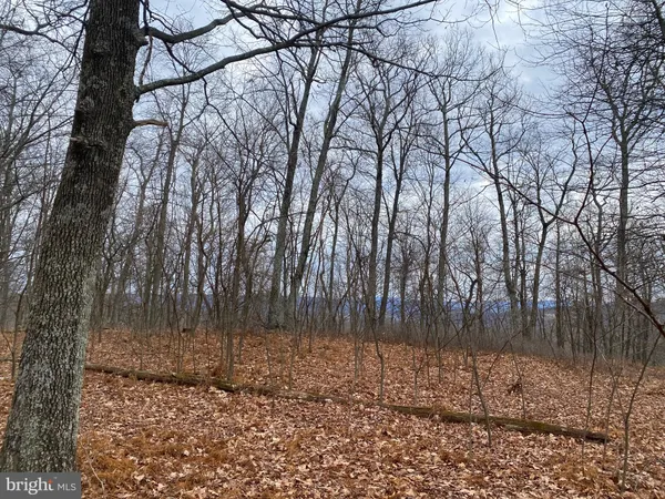 $88,000 | 18 Top Of The Mountain Road, Moorefield, WV 26836