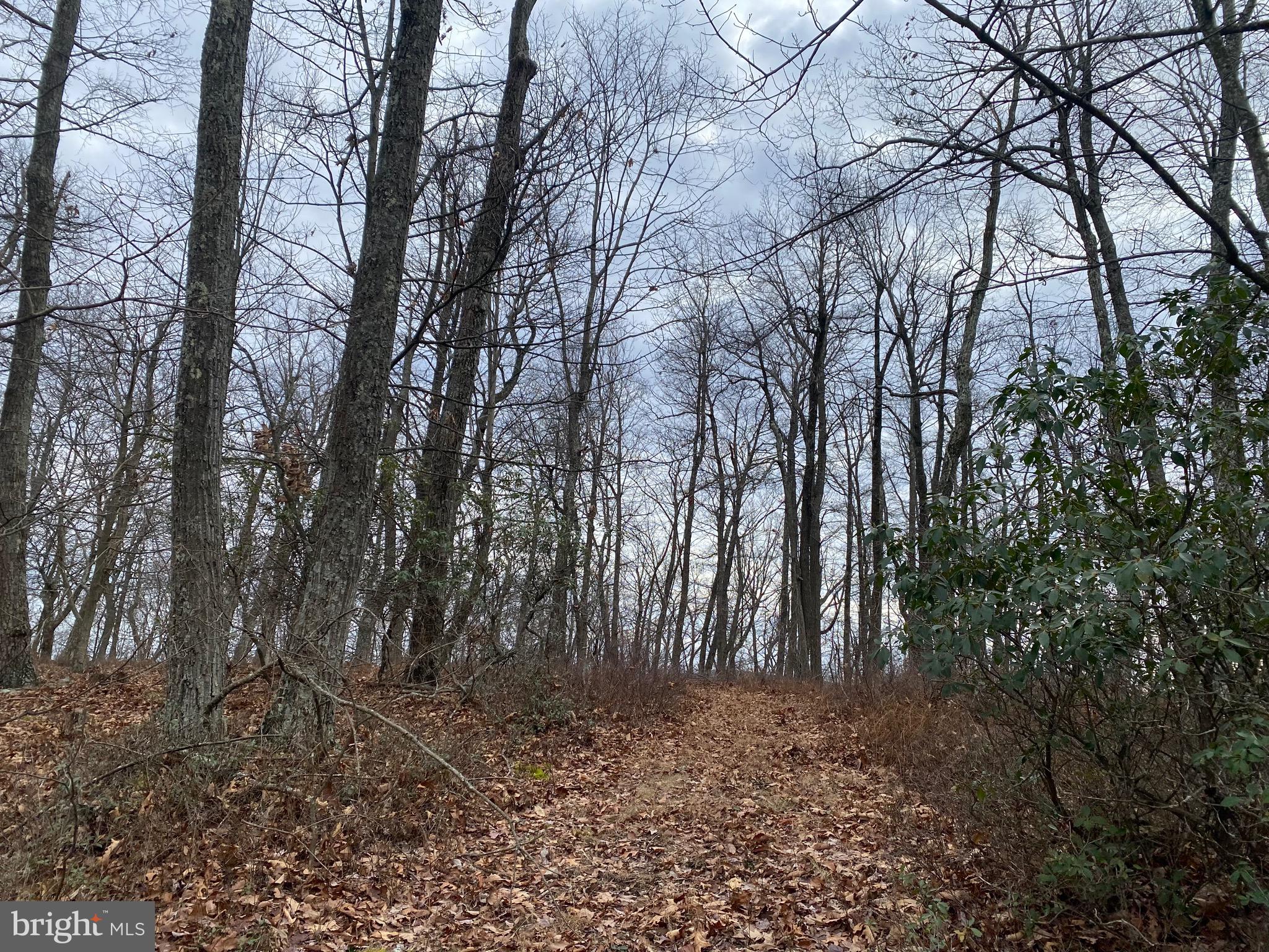 18 Top Of The Mountain Road Moorefield, WV 26836 - Photo 18 of 18
