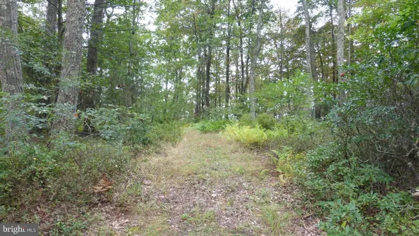$88,000 | 18 Top Of The Mountain Road, Moorefield, WV 26836