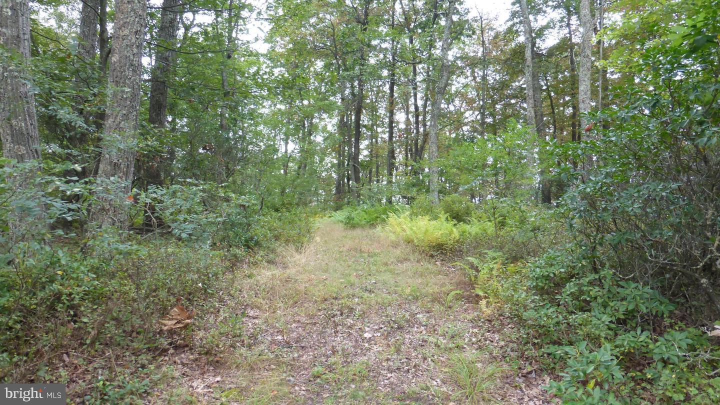 18 Top Of The Mountain Road Moorefield, WV 26836 - Photo 2 of 18