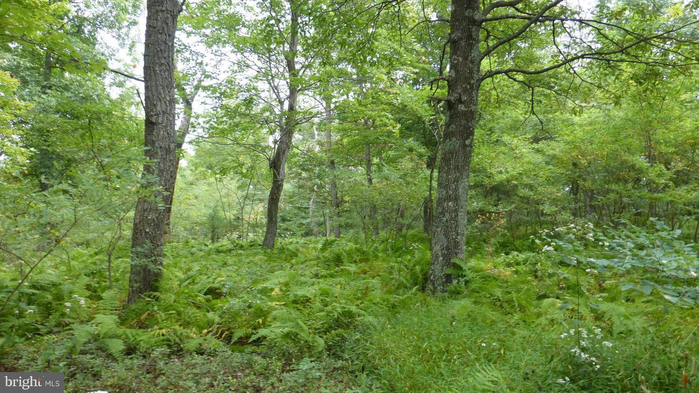 18 Top Of The Mountain Road Moorefield, WV 26836 - Photo 3 of 18