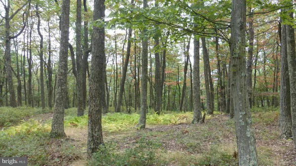 $88,000 | 18 Top Of The Mountain Road, Moorefield, WV 26836