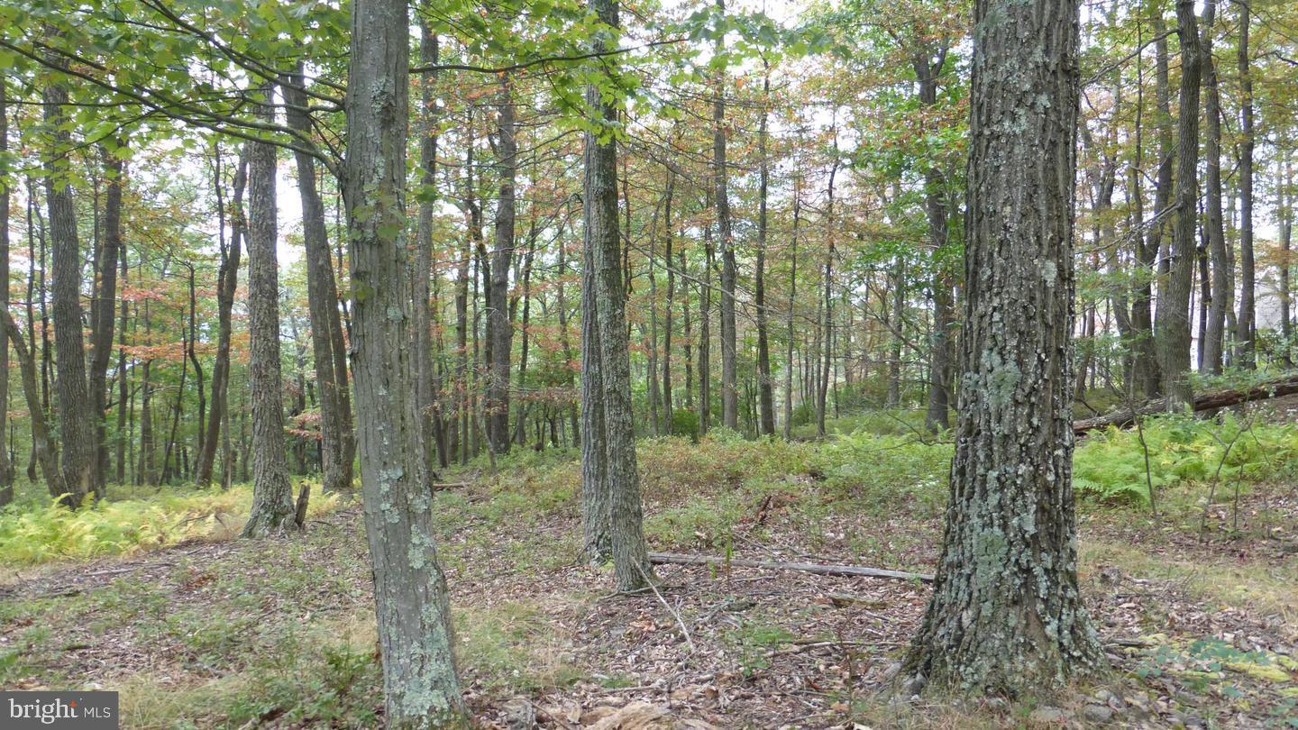 18 Top Of The Mountain Road Moorefield, WV 26836 - Photo 6 of 18