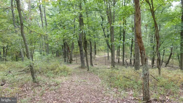 $88,000 | 18 Top Of The Mountain Road, Moorefield, WV 26836