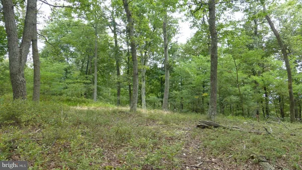 $88,000 | 18 Top Of The Mountain Road, Moorefield, WV 26836