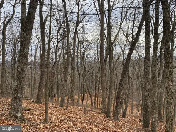 $88,000 | 18 Top Of The Mountain Road, Moorefield, WV 26836
