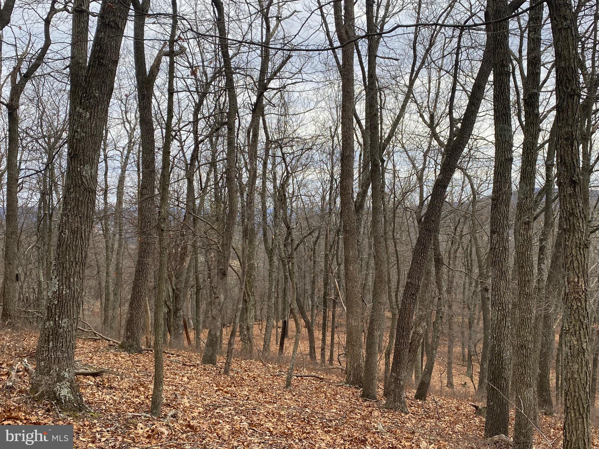 18 Top Of The Mountain Road Moorefield, WV 26836 - Photo 9 of 18