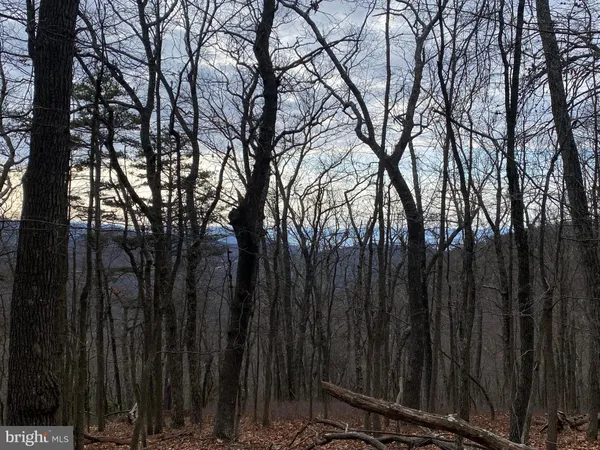 $88,000 | 18 Top Of The Mountain Road, Moorefield, WV 26836