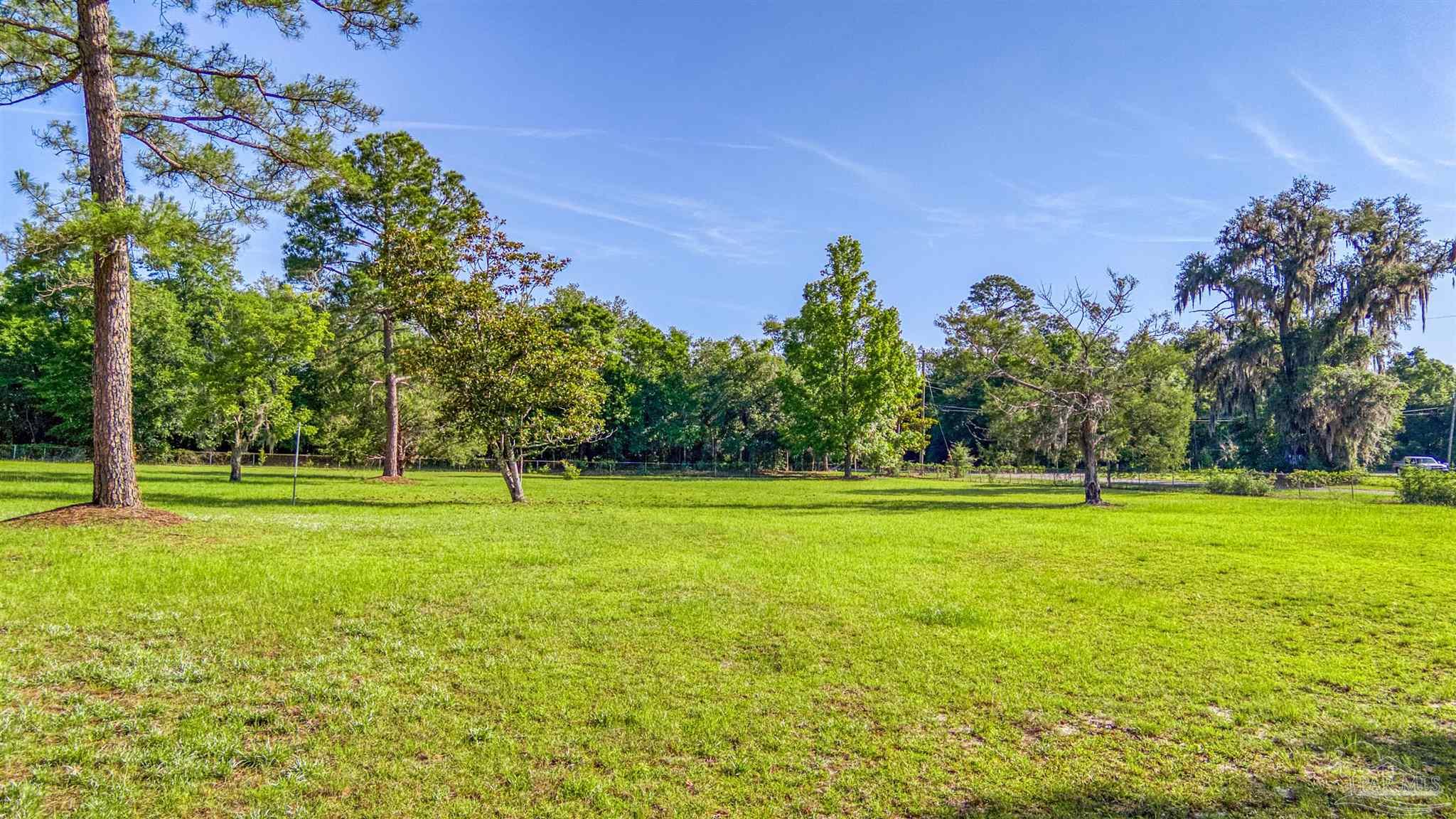 0 Morrison Road Milton, FL 32583 - Photo 3 of 21 a view of a big yard with a large trees