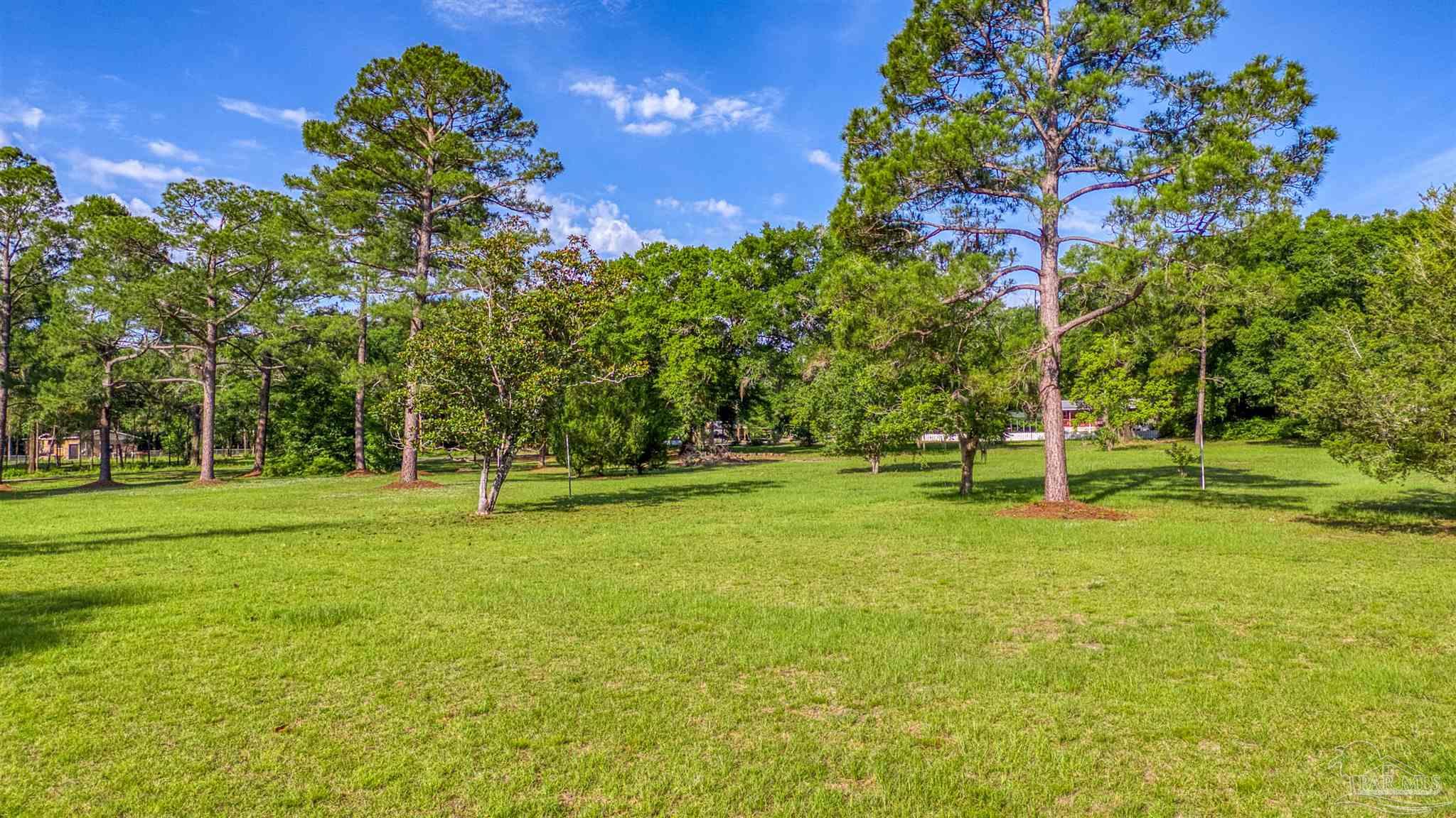 0 Morrison Road Milton, FL 32583 - Photo 4 of 21 a view of a trees in a yard
