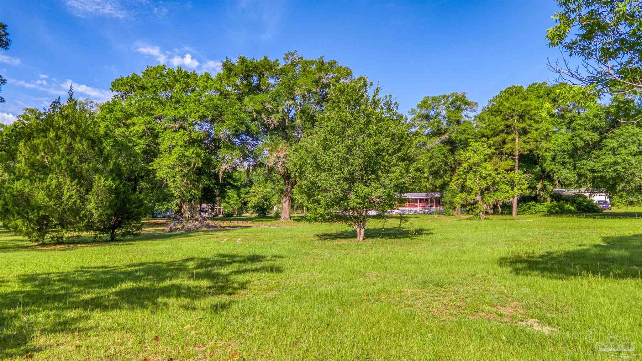 0 Morrison Road Milton, FL 32583 - Photo 6 of 21 a backyard of a house with lots of green space