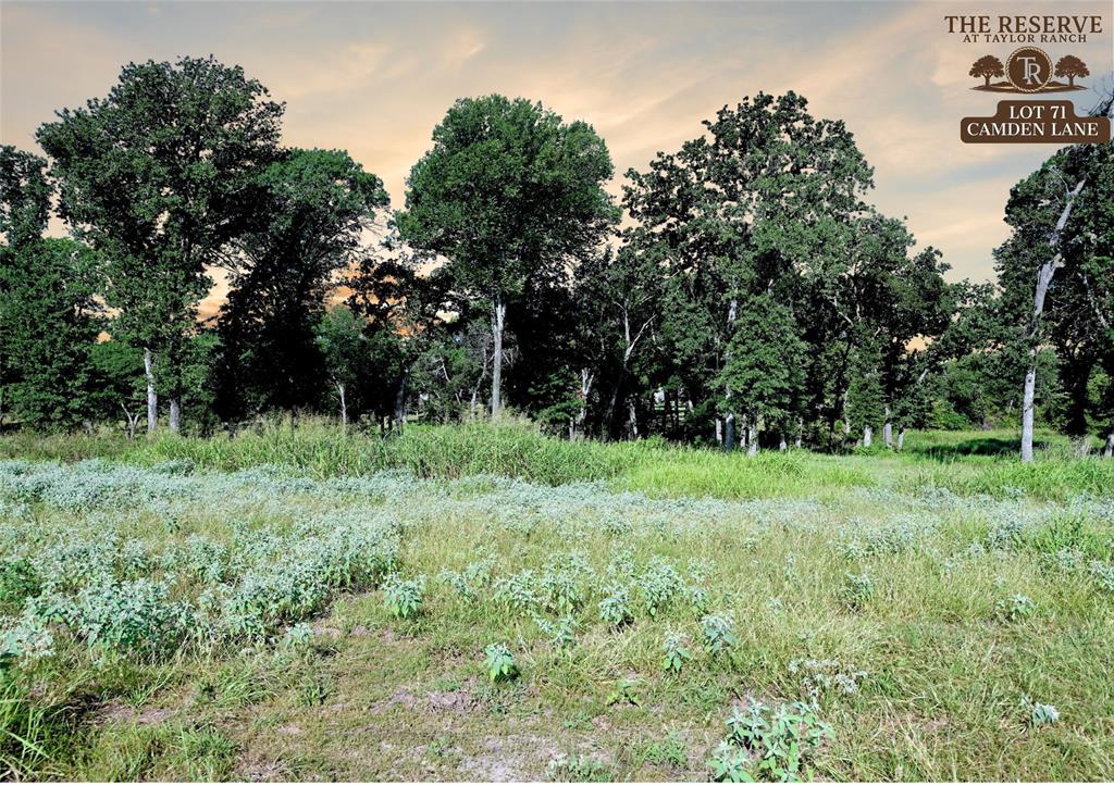 Lot 71 Camden Lane Springtown, TX 76082 - Photo 2 of 15 a view of outdoor space and yard