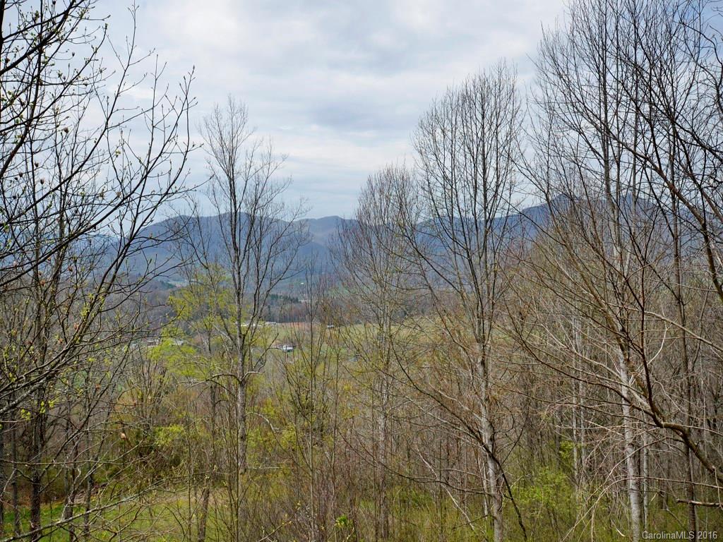 169 Cinnamon Ridge Waynesville, NC 28785 - Photo 17 of 23 Gallery Image 17