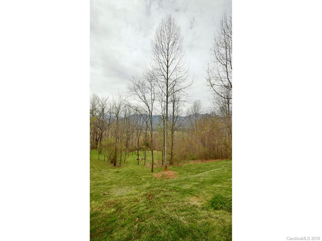 169 Cinnamon Ridge Waynesville, NC 28785 - Photo 23 of 23 Gallery Image 23