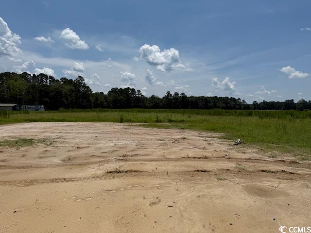 6704 Joyner Swamp Road Aynor, SC 29511 - Photo 12 of 15 Gallery Image 12