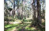 4-5 Morgans Way Yulee, FL 32097 - Photo 1 of 9 Gallery Image 1