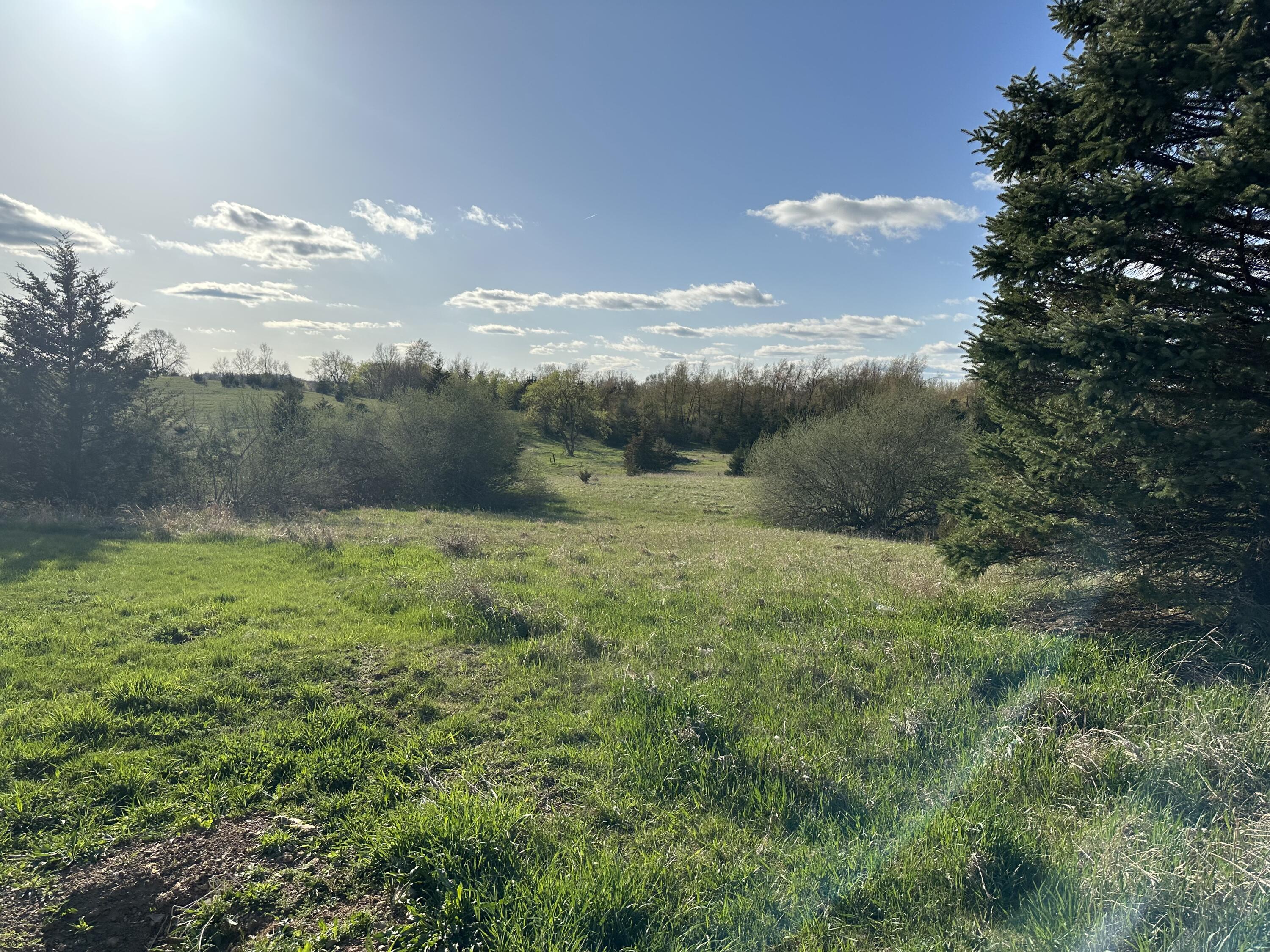 9896 Case Road Brooklyn, MI 49230 - Photo 19 of 20 19 acreage