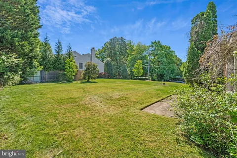 a view of a big yard with large trees