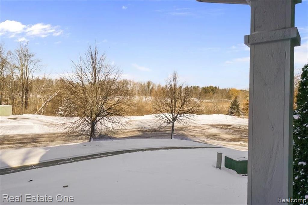 3408 Marshview Court Howell, MI 48843 - Photo 4 of 48