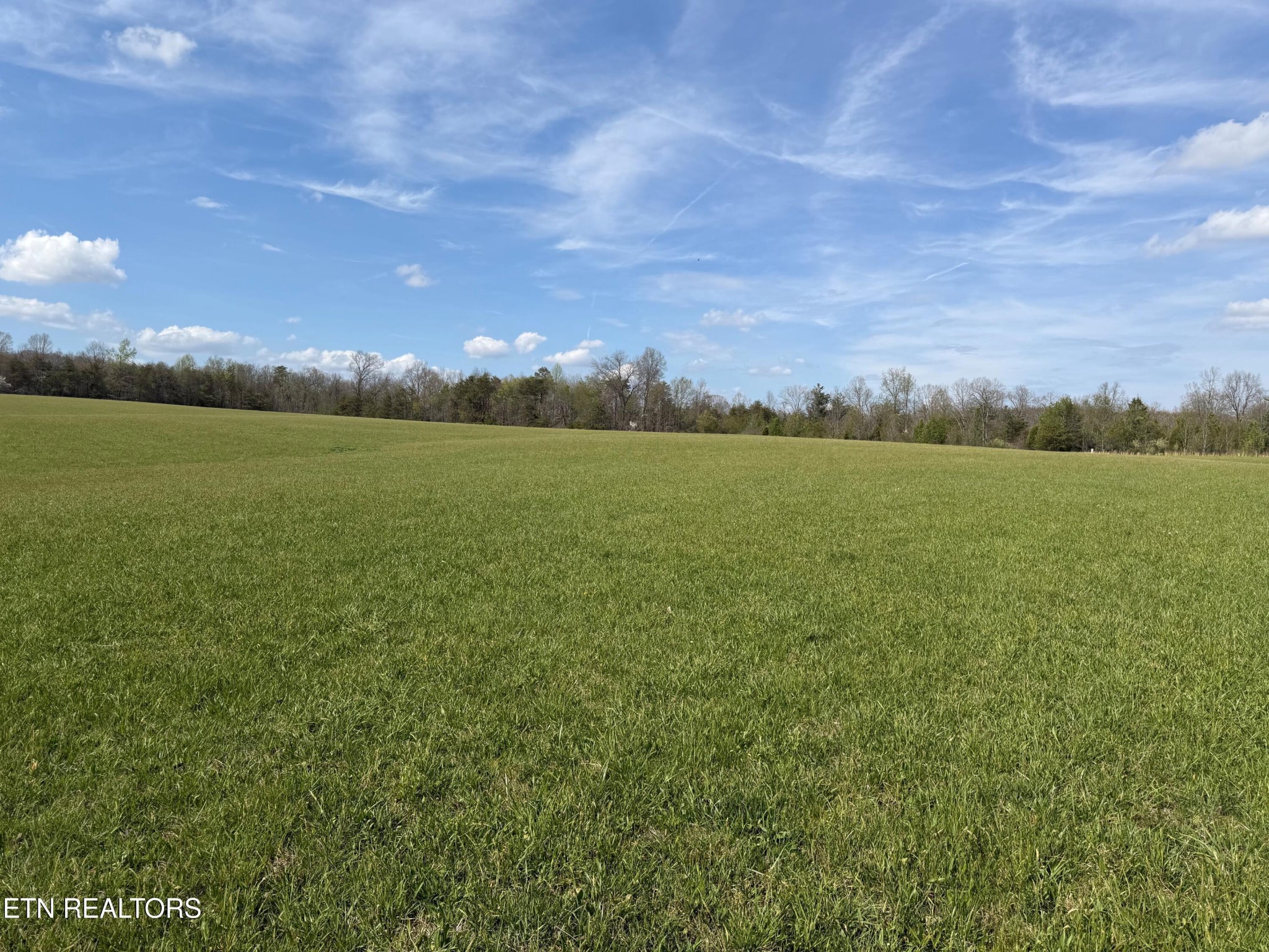 1342 Walt Reed Road Grandview, TN 37337 - Photo 3 of 13 Gallery Image 3