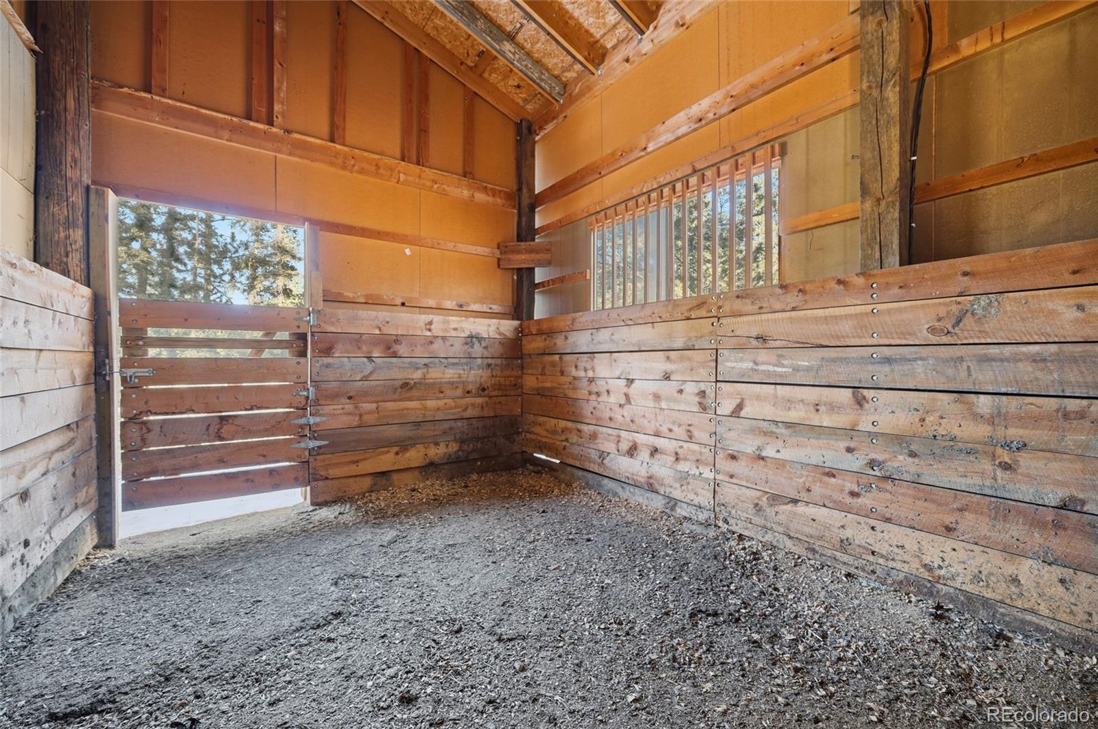 1910 Wildhorn Road Florissant, CO 80816 - Photo 36 of 49 Gallery Image 36