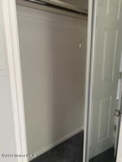 11-21 Ashdown Road, Unit 11D Ballston Lake, NY 12019 - Photo 15 of 15 closet
