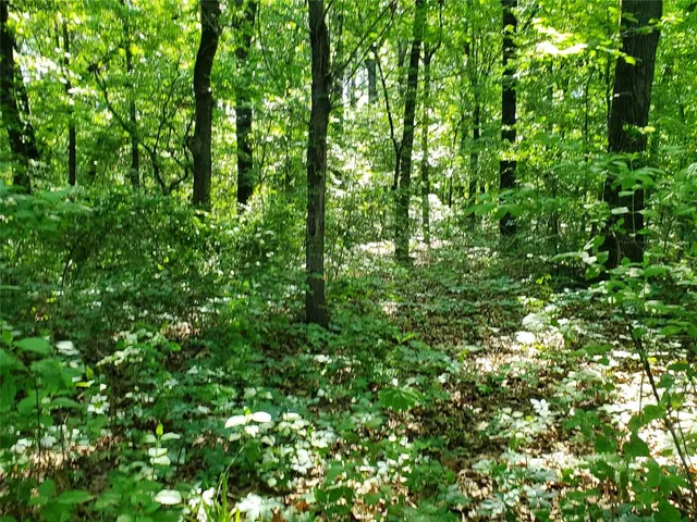 $390,000 | 456 Pr 41 Honey Grove, Honey Grove, TX 75446