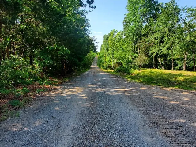 $390,000 | 456 Pr 41 Honey Grove, Honey Grove, TX 75446