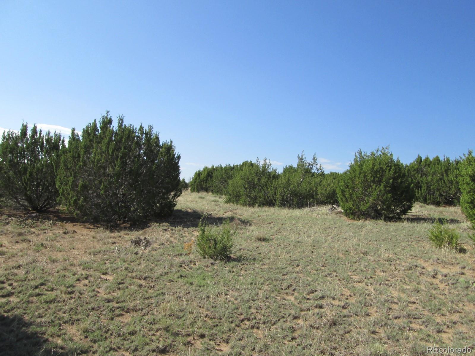 Rowell Walsenburg, CO 81089 - Photo 1 of 9 Gallery Image 1