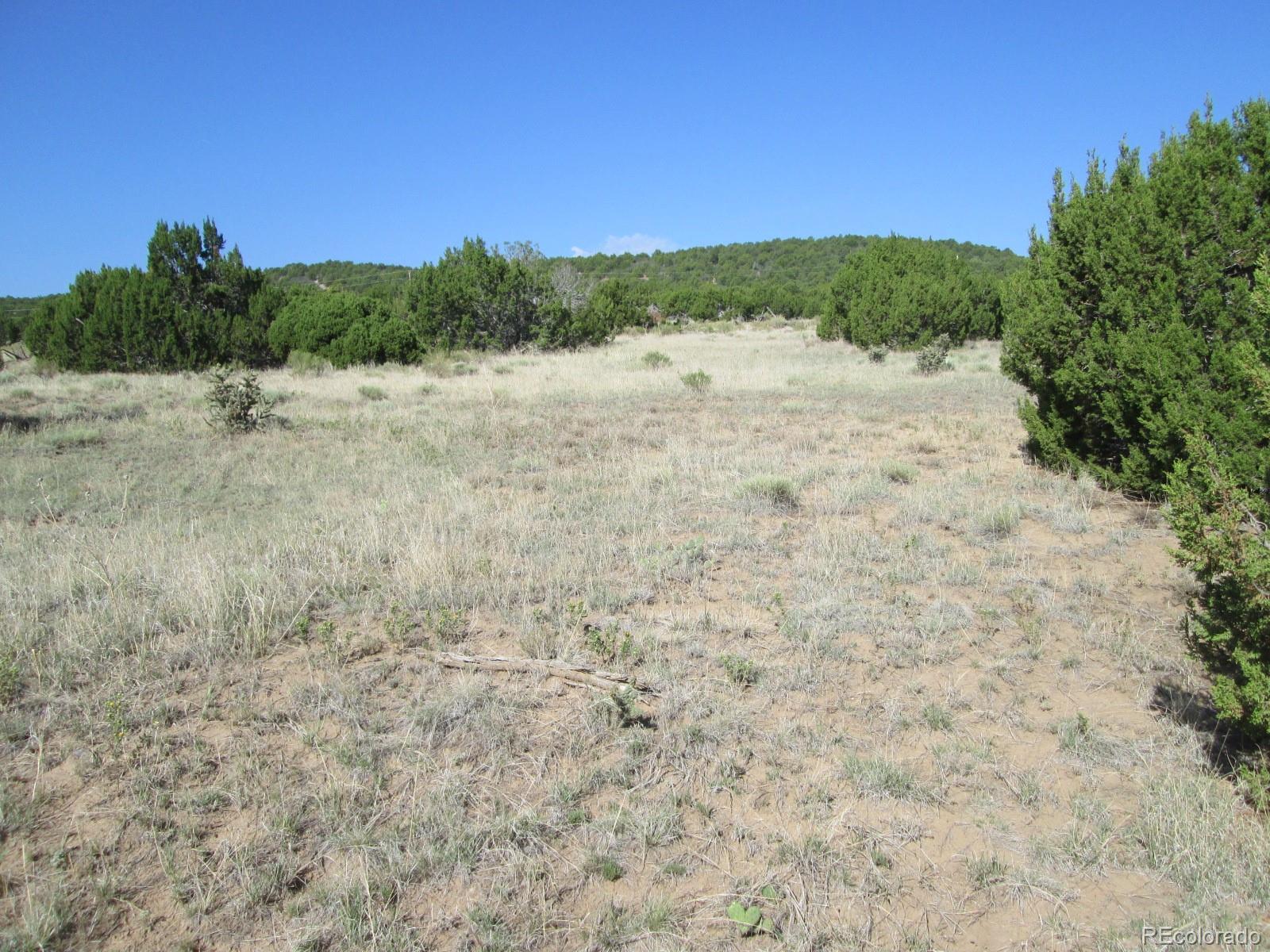 Rowell Walsenburg, CO 81089 - Photo 2 of 9 Gallery Image 2