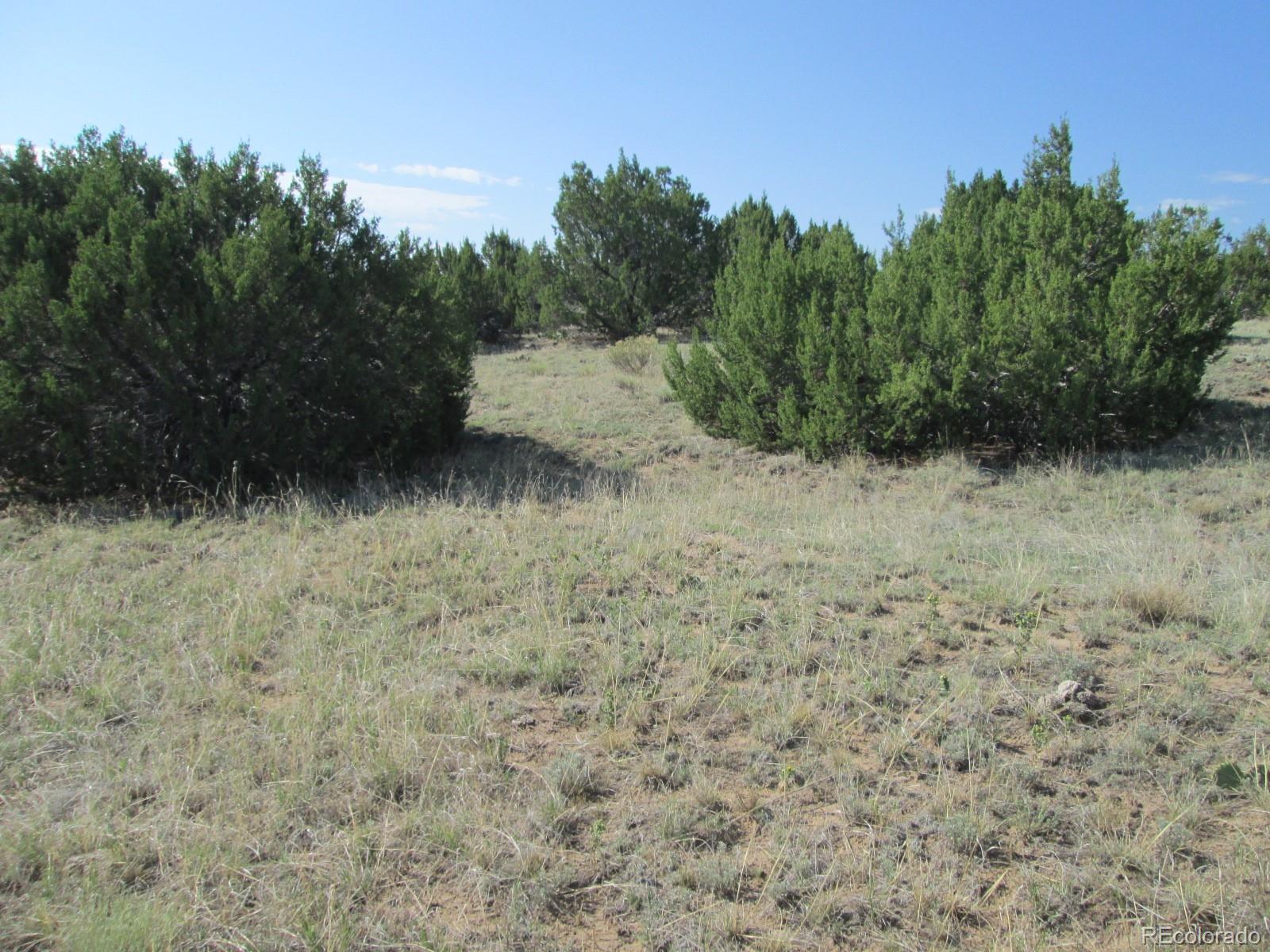 Rowell Walsenburg, CO 81089 - Photo 3 of 9 Gallery Image 3
