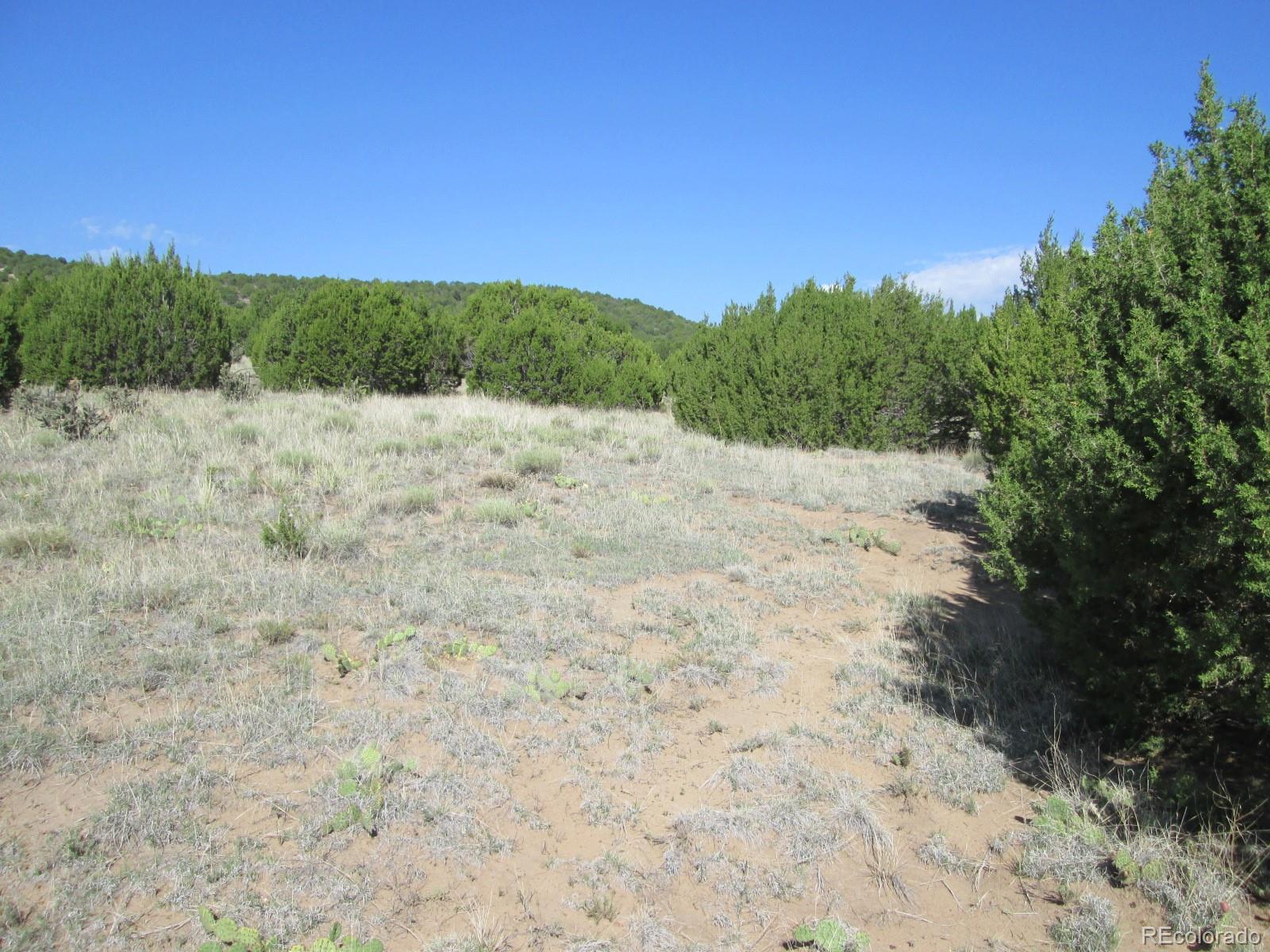 Rowell Walsenburg, CO 81089 - Photo 4 of 9 Gallery Image 4