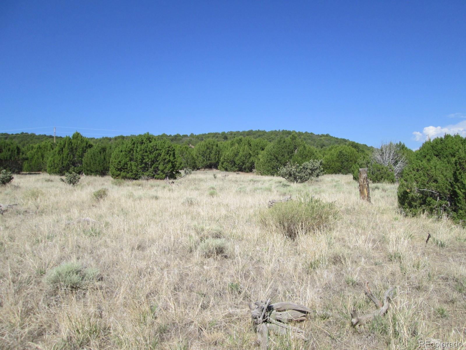 Rowell Walsenburg, CO 81089 - Photo 6 of 9 Gallery Image 6