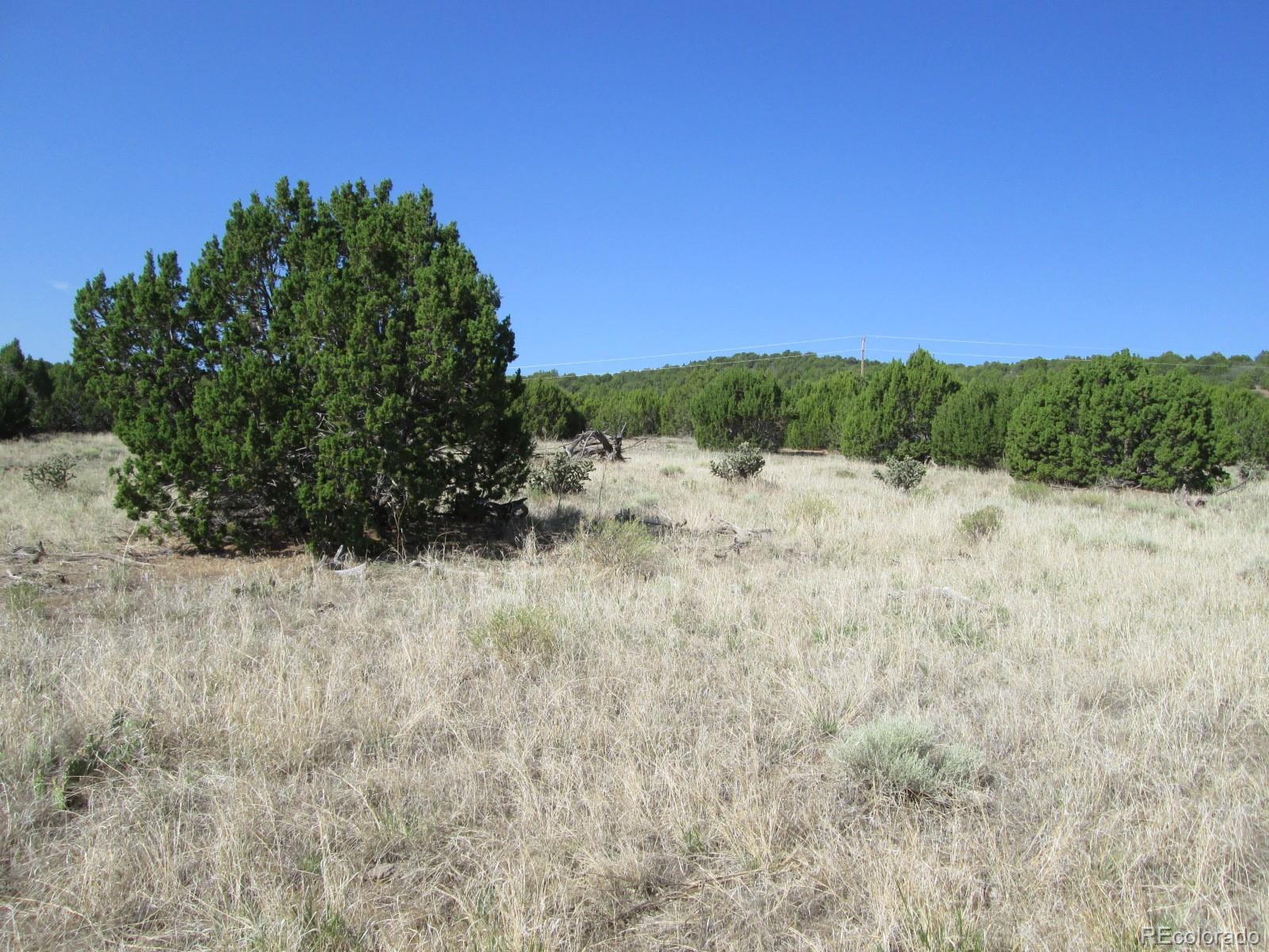 Rowell Walsenburg, CO 81089 - Photo 7 of 9 Gallery Image 7