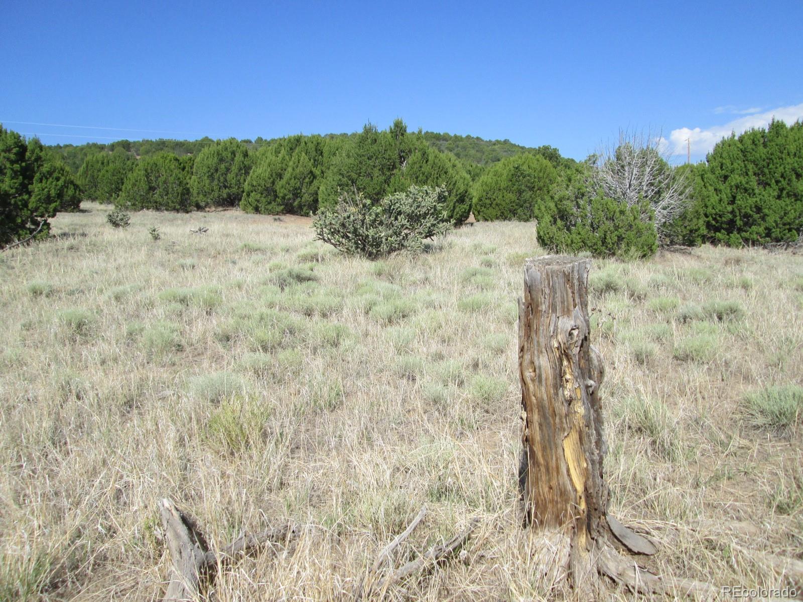 Rowell Walsenburg, CO 81089 - Photo 8 of 9 Gallery Image 8