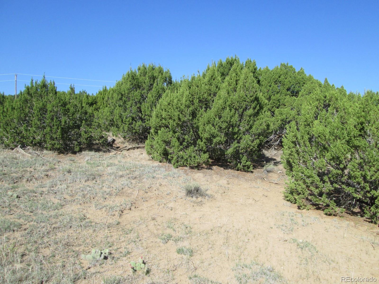 Rowell Walsenburg, CO 81089 - Photo 9 of 9 Gallery Image 9
