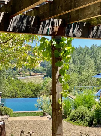 $11,950 | Trail, St. Helena, CA 94574