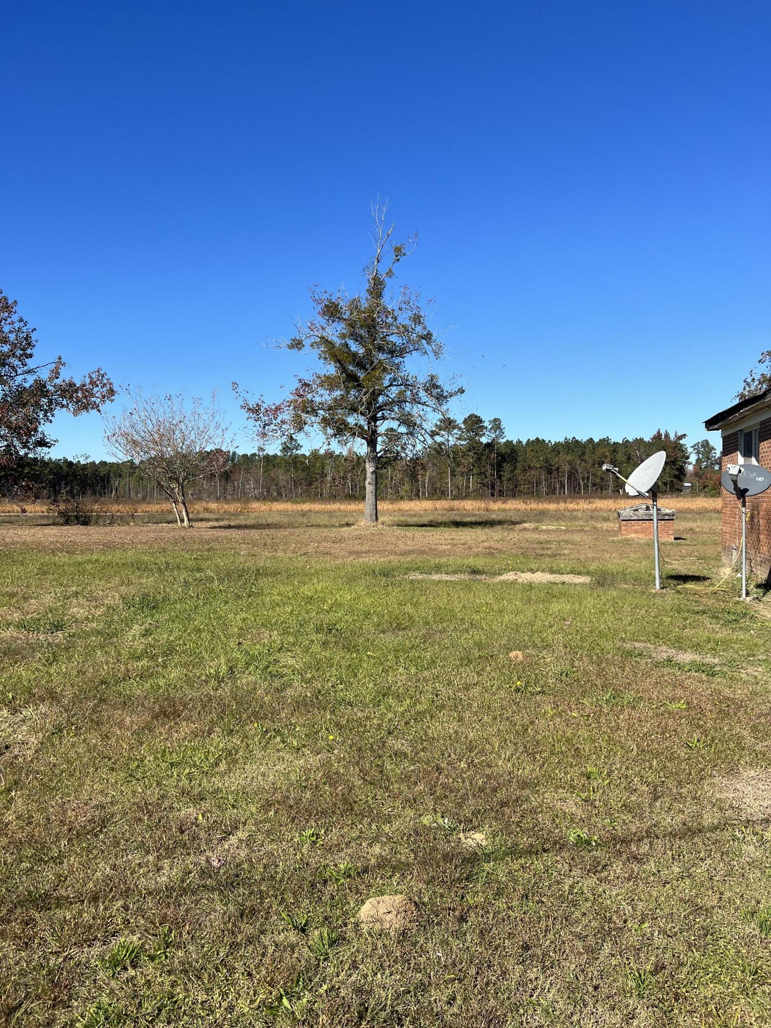 557 Weaver Road Hemingway, SC 29554 - Photo 14 of 17 back