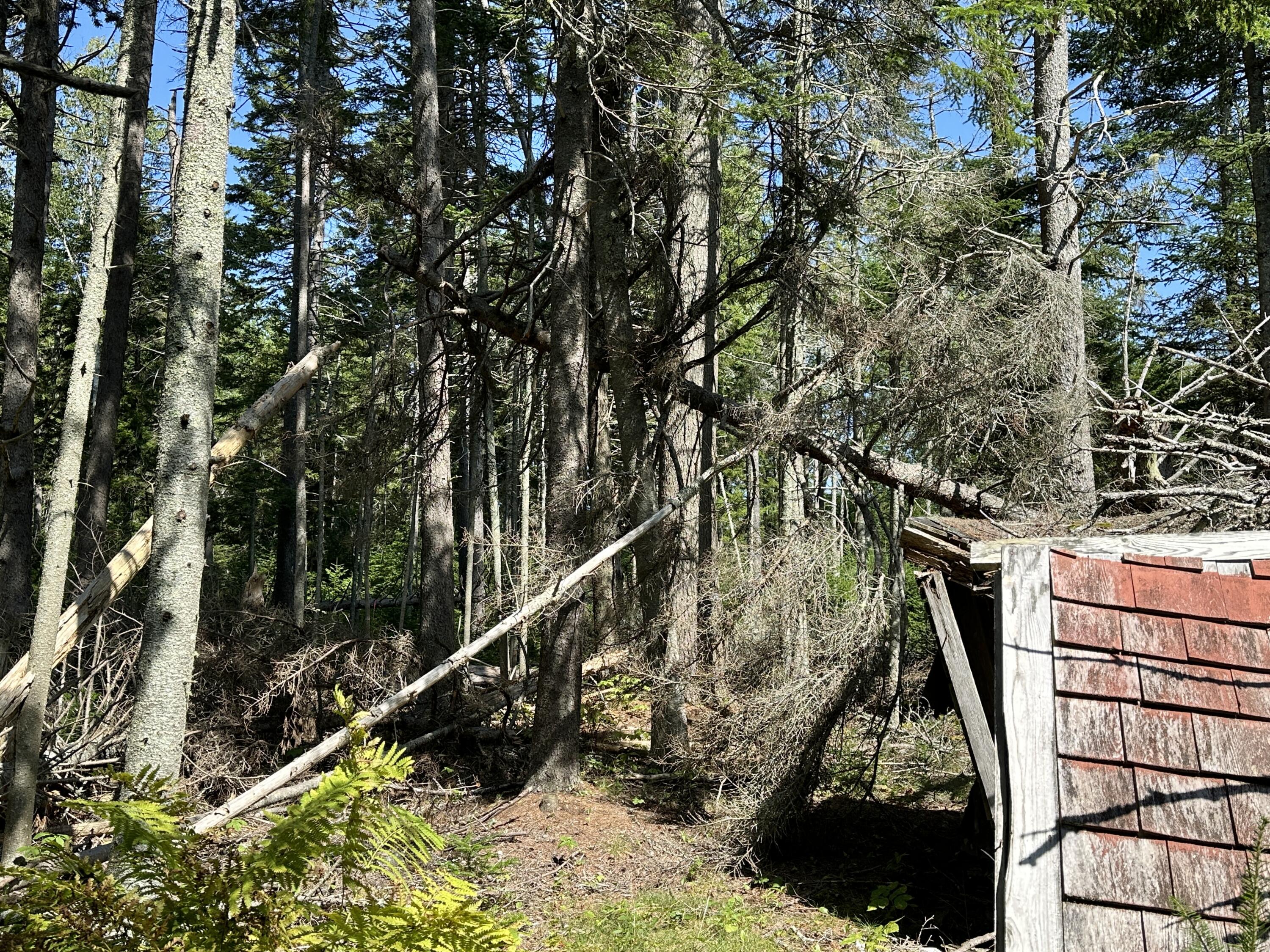 31 Fay Road Spruce Head, ME 04859 - Photo 44 of 77 IMG_1063