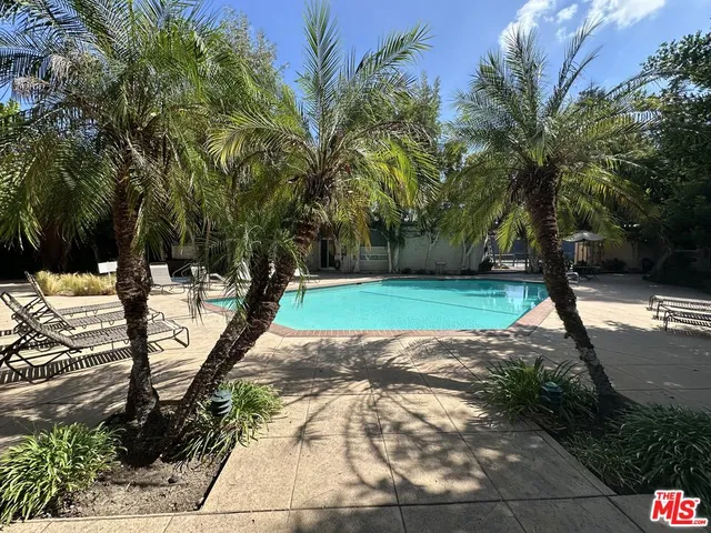 a view of a yard with plants and trees