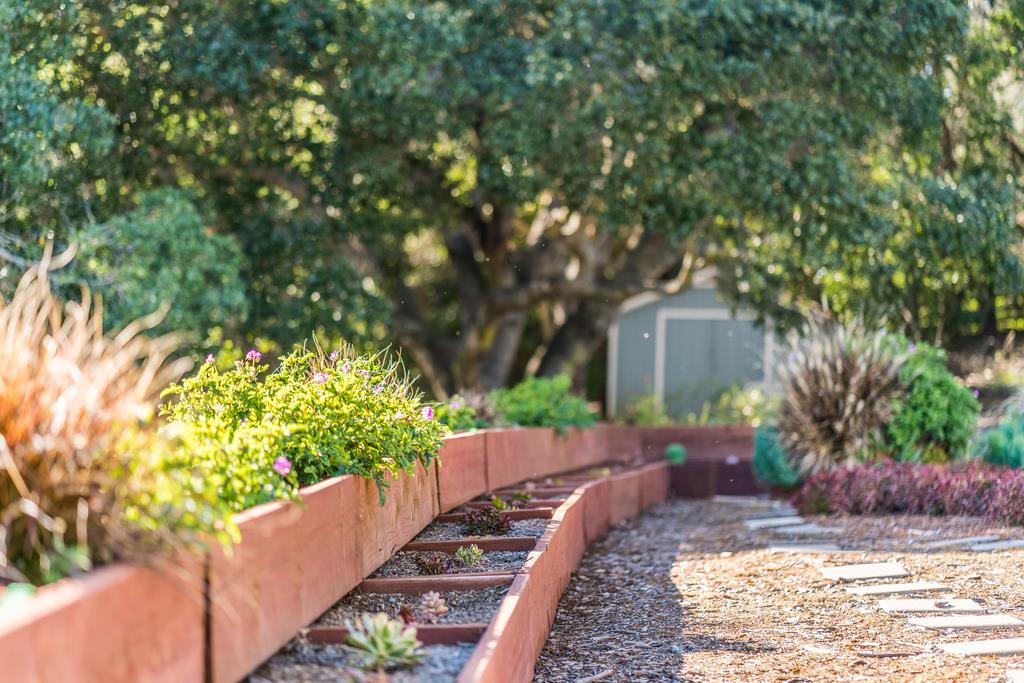 901 Meadow Road Aptos, CA 95003 - Photo 53 of 58 Gallery Image 53