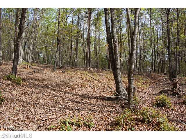 489 Royall Road Thurmond, NC 28683 - Photo 15 of 16 Other. Land behind house