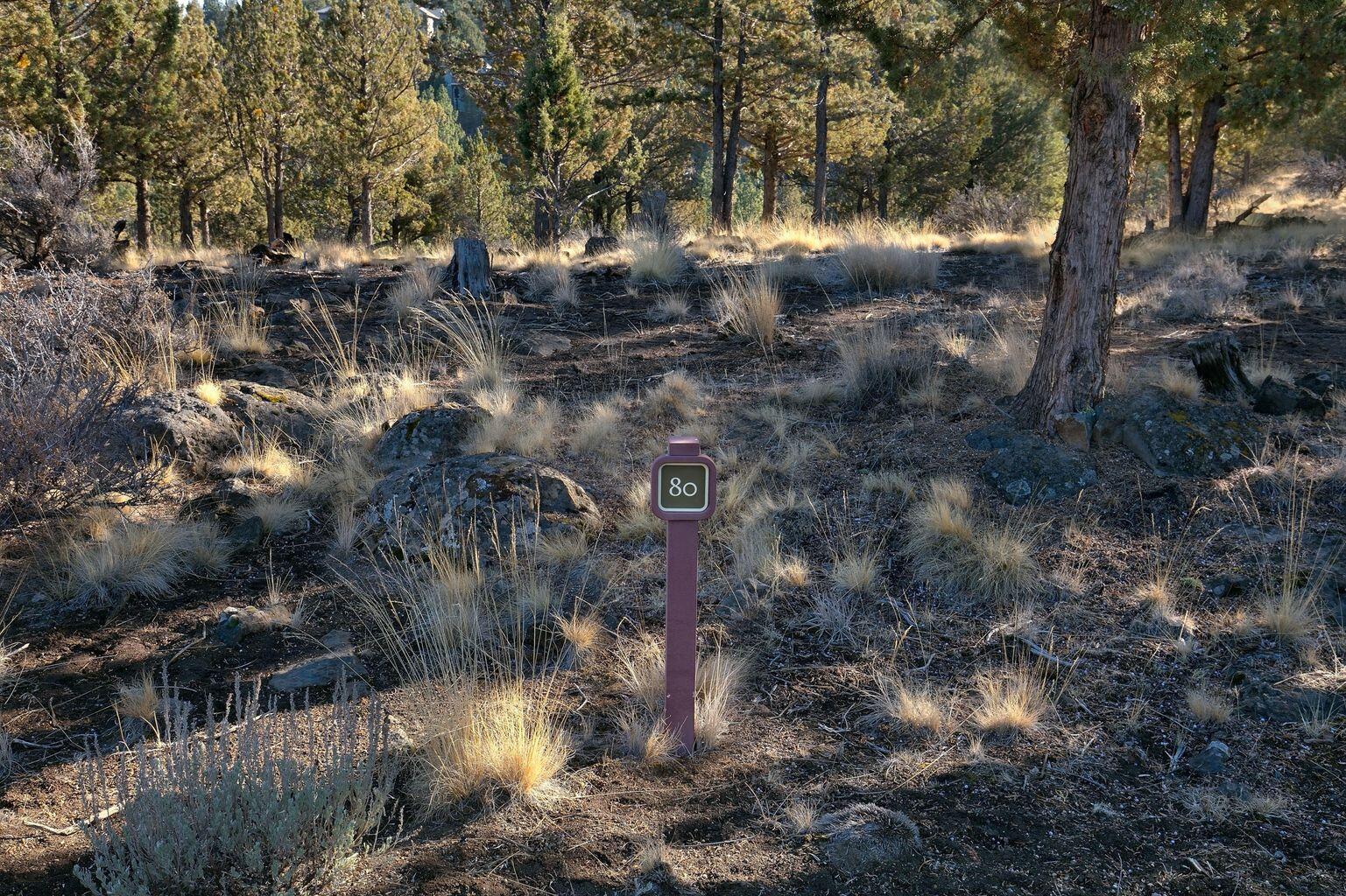 1584 Northwest Wild Rye Circle Bend, OR 97703 - Photo 2 of 30 Lot 80 backs up open green space, and just beyond that, you'll reach the Archie Briggs Canyon Trail, which is just a short walk away from the Deschutes River Trail.