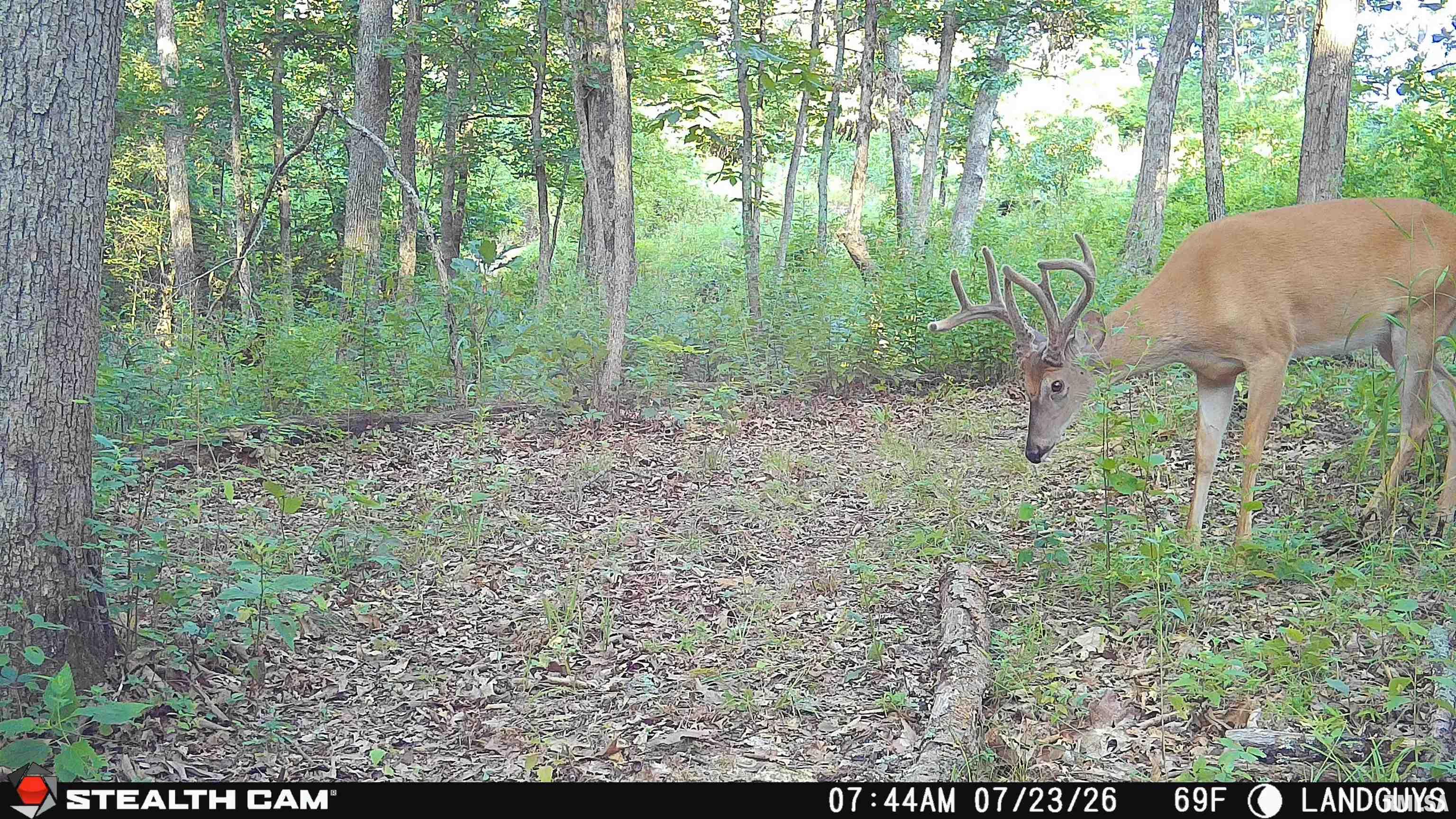 3002 Carr Road Red Bud, IL 62278 - Photo 74 of 79 Gallery Image 74