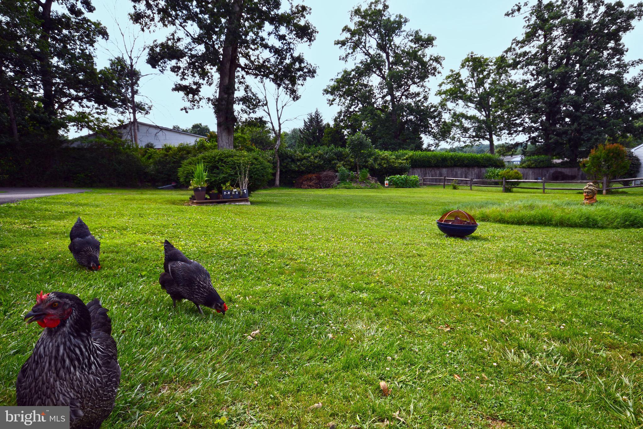 220 West Timonium Road Lutherville-Timonium, MD 21093 - Photo 52 of 64 a view of a garden with a slide