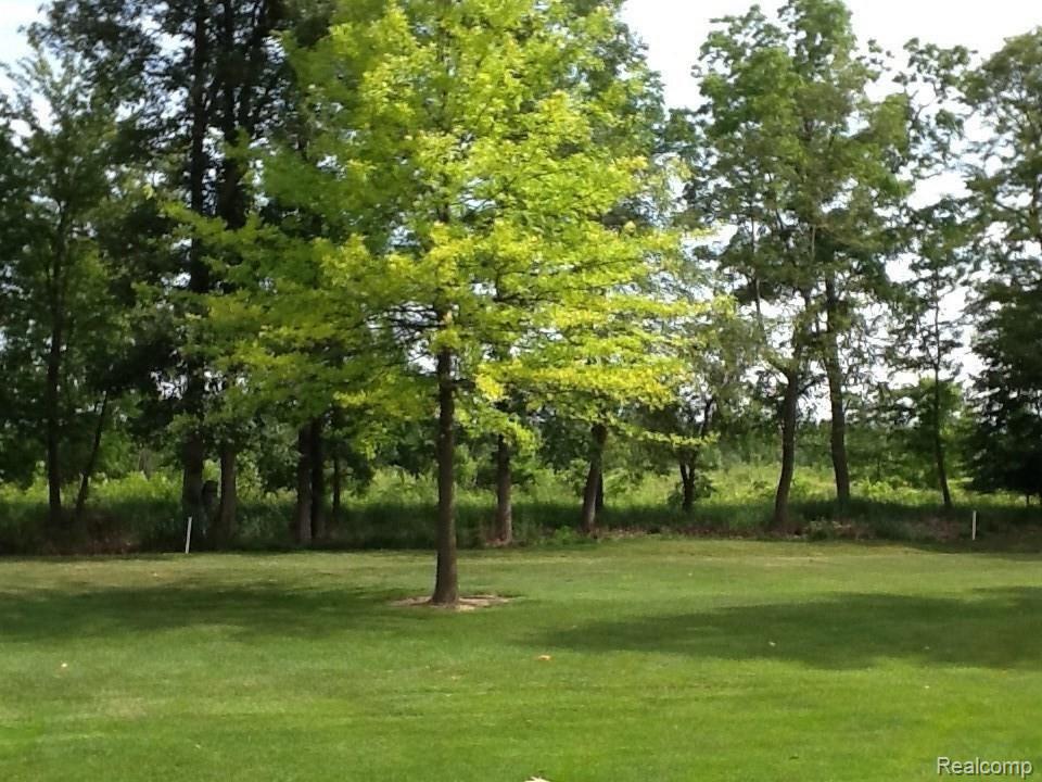 13252 Ripley Road Linden, MI 48451 - Photo 27 of 27