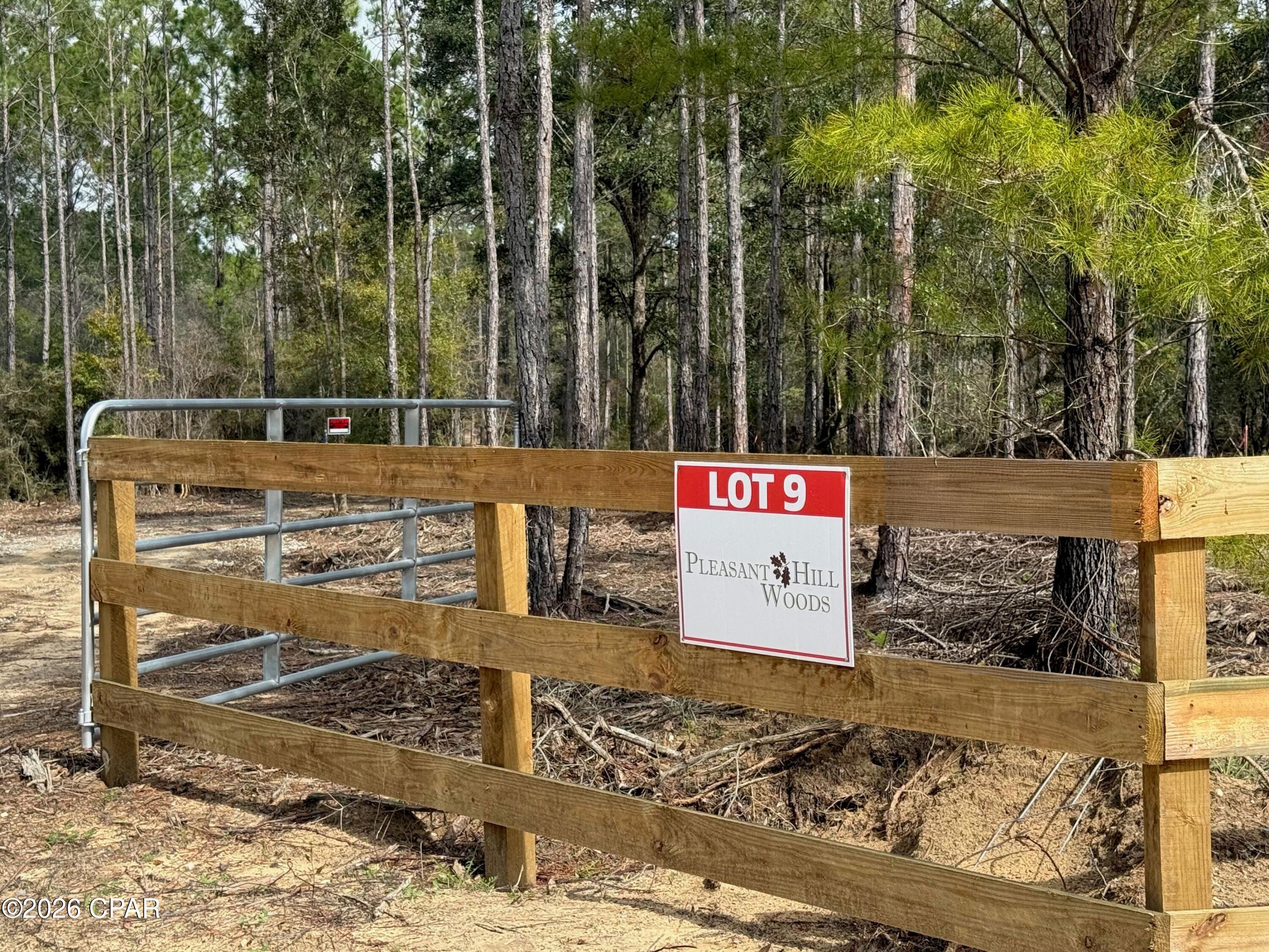 Lot 9 Pleasant Hill Road Bonifay, FL 32425 - Photo 2 of 10