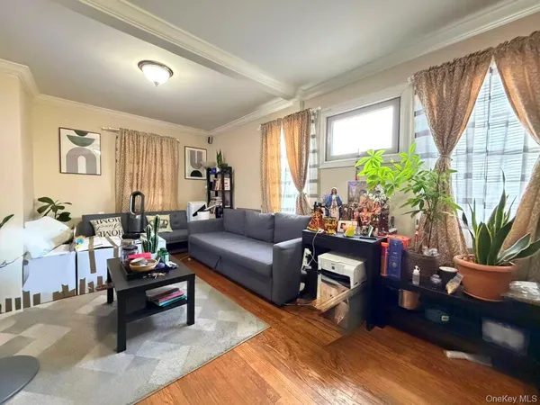 a living room with furniture potted plant window and a flat screen tv