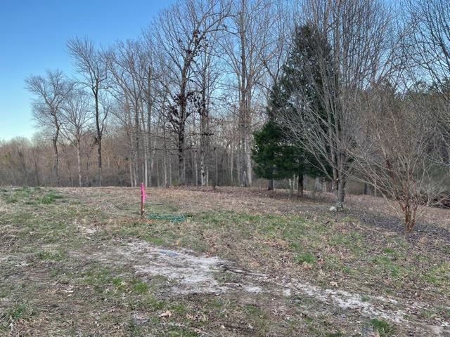 130 Hannis Road Bolivar, TN 38008 - Photo 8 of 10 Gallery Image 8